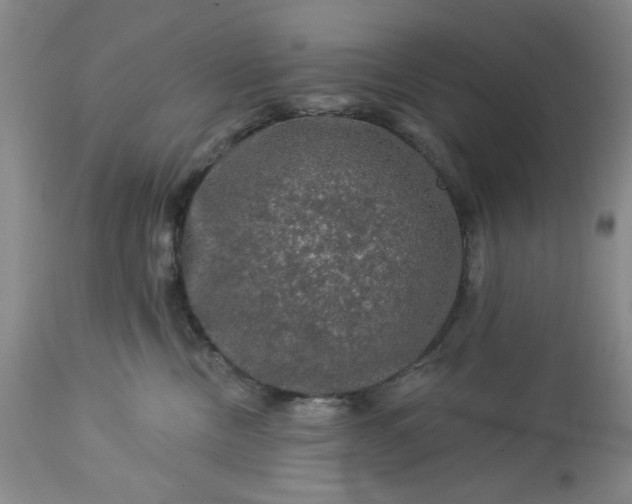 X0000113570378200910021635