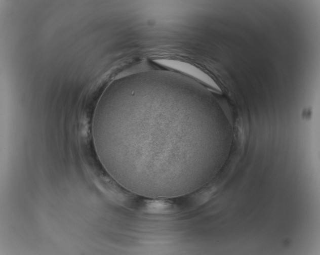 X0000113570380200910021635