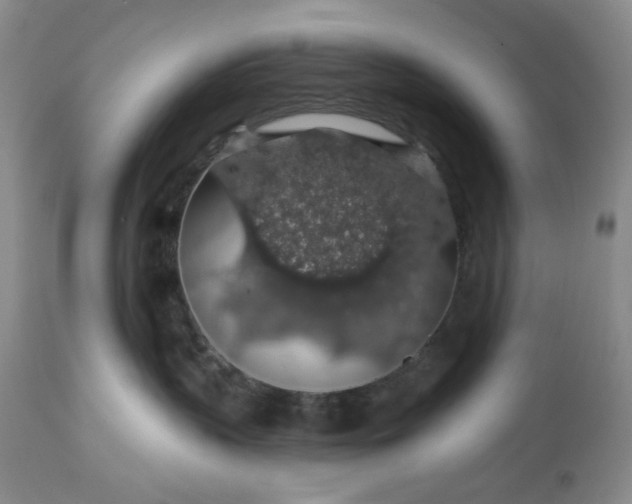 X0000113570383200910021635