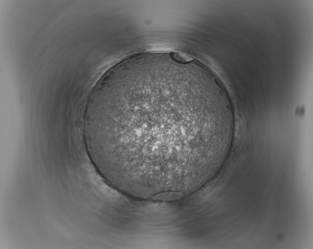 X0000113570385200910021634