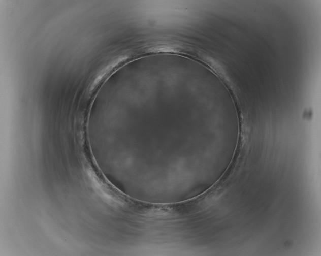 X0000113570386200910021634