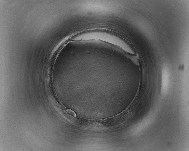 X0000113570387200910021634