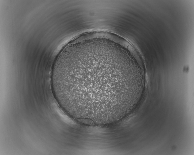 X0000113570389200910021634