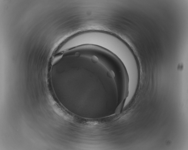 X0000113570391200910021634