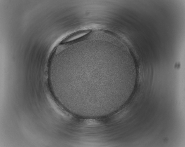 X0000113570392200910021634