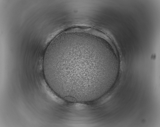 X0000113570393200910021634