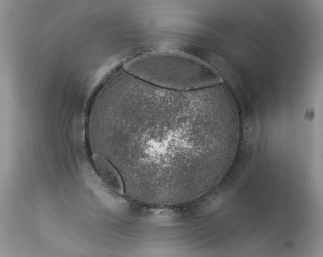 X0000113570395200910021634