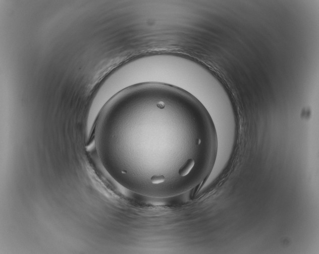 X0000113570397200910021634