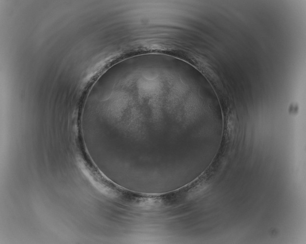 X0000113570398200910021634