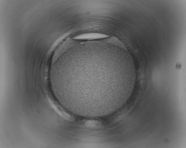 X0000113570400200910021634