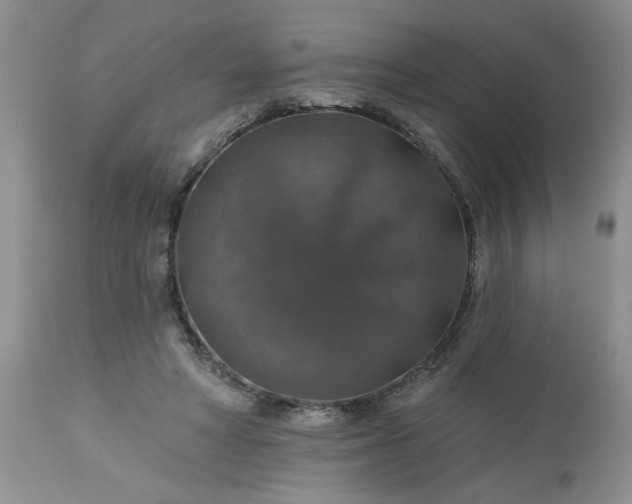 X0000113570402200910021634