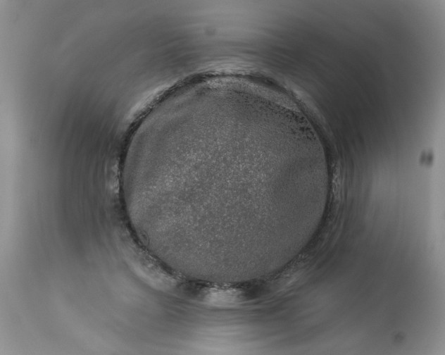 X0000113570403200910021634