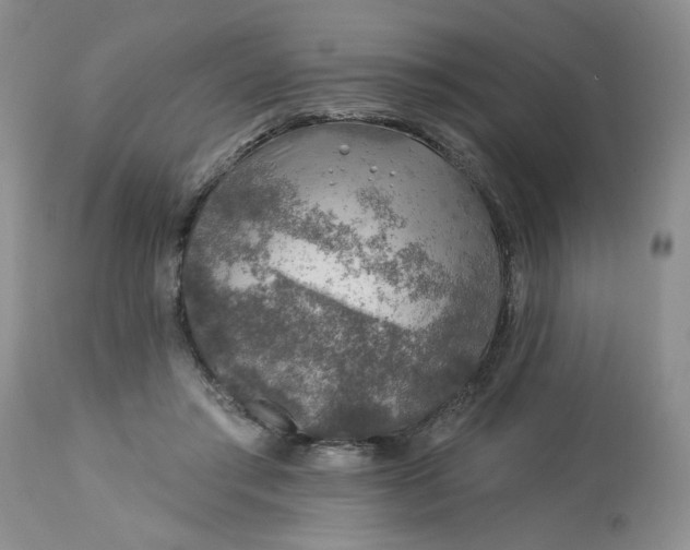 X0000113570405200910021634