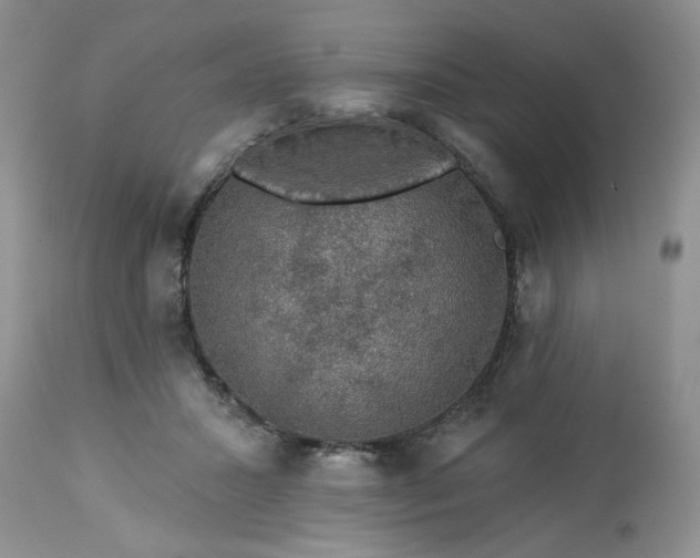 X0000113570407200910021634