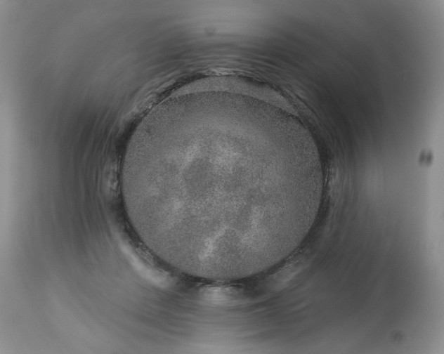 X0000113570408200910021634