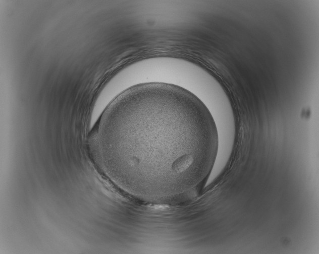 X0000113570409200910021634