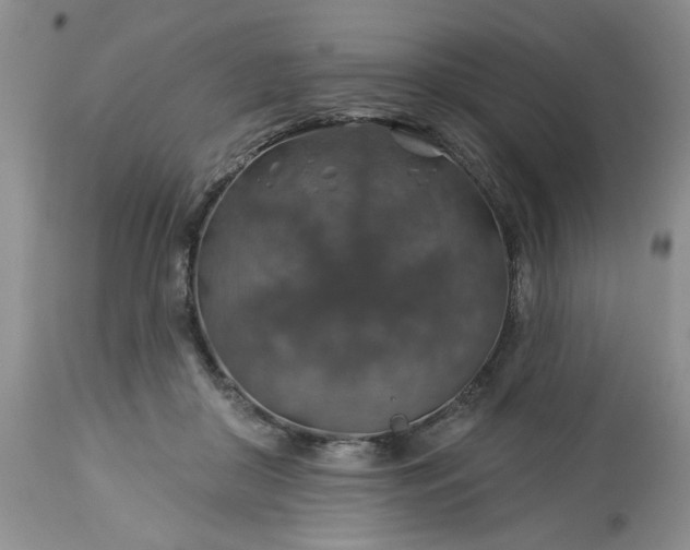 X0000113570410200910021634