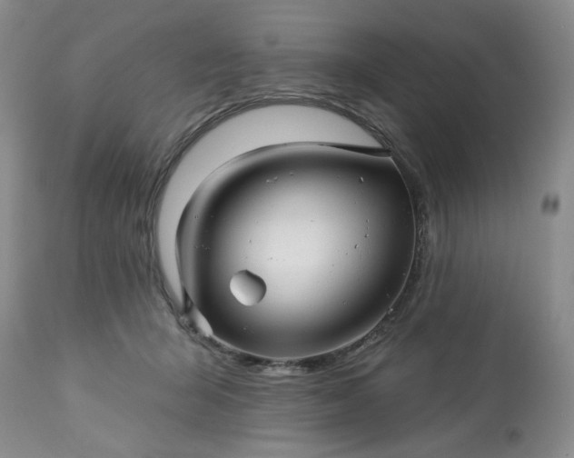 X0000113570415200910021634