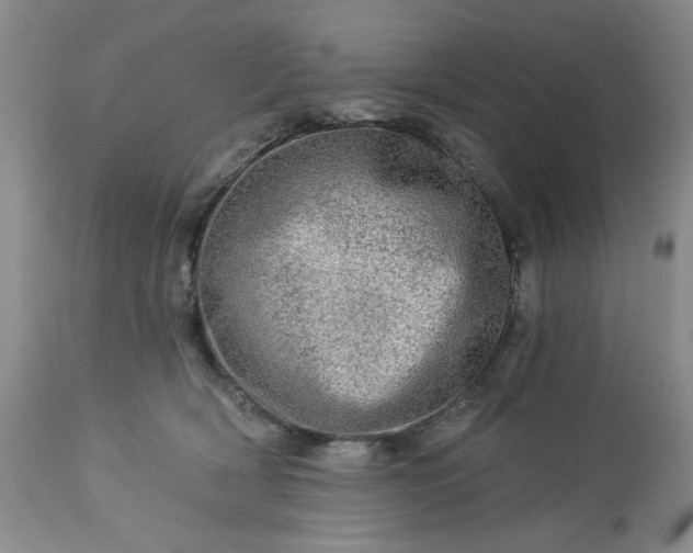 X0000113570418200910021634