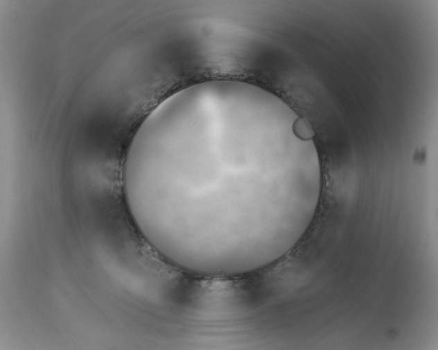 X0000113570419200910021634