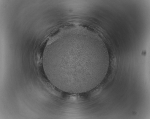 X0000113570420200910021634