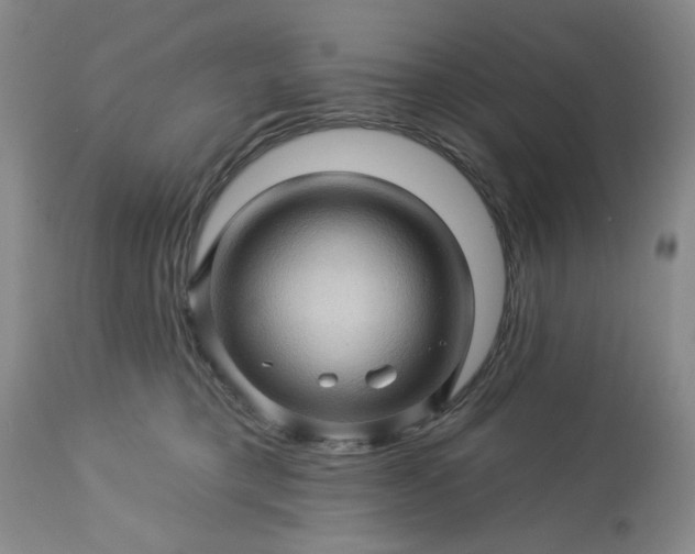 X0000113570421200910021634