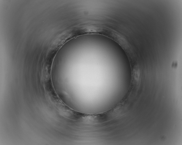 X0000113570422200910021634