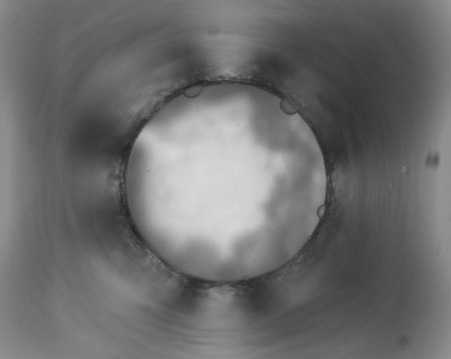 X0000113570423200910021634