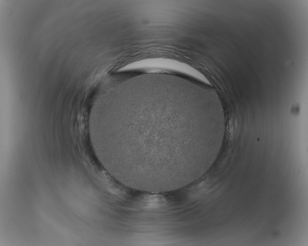 X0000113570424200910021634