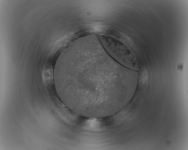 X0000113570425200910021634