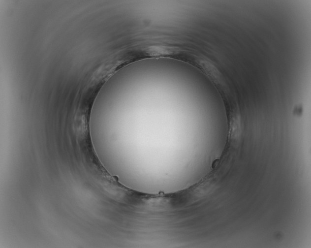 X0000113570426200910021634