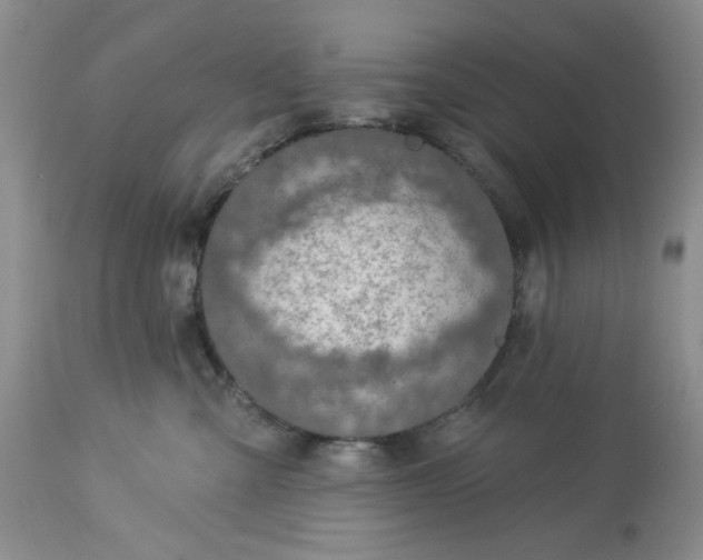 X0000113570427200910021634