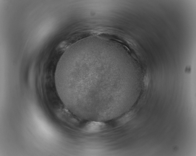 X0000113570429200910021634