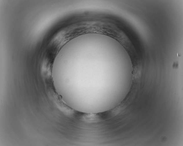 X0000113570431200910021634