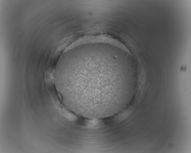 X0000113570432200910021634