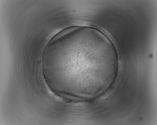 X0000113570433200910021633