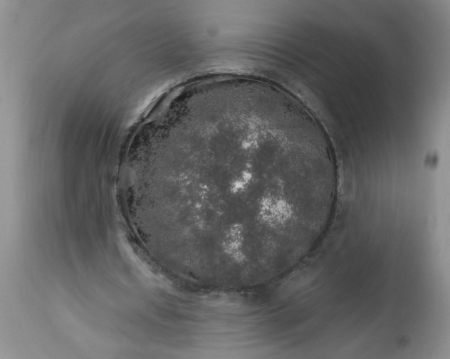 X0000113570434200910021633