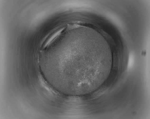 X0000113570435200910021633