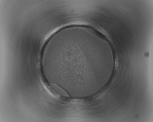 X0000113570436200910021633