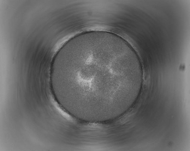 X0000113570437200910021633