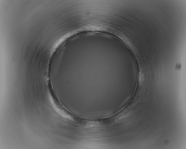 X0000113570438200910021633