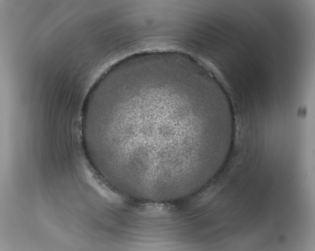 X0000113570439200910021633