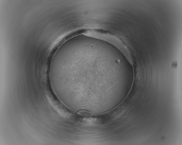 X0000113570440200910021633