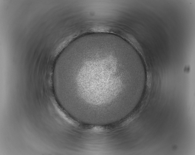 X0000113570441200910021633