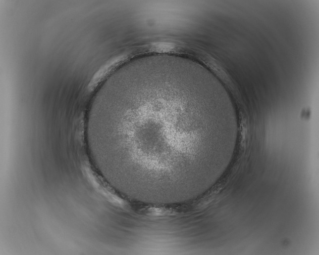 X0000113570442200910021633