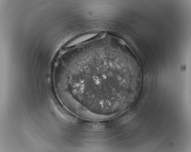 X0000113570443200910021633