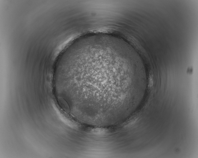 X0000113570444200910021633