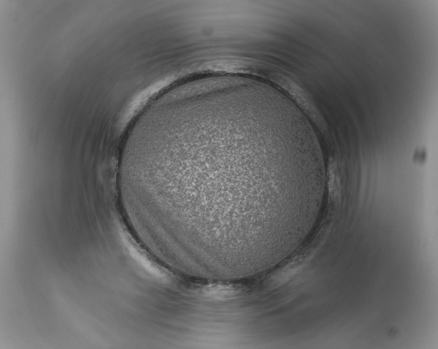 X0000113570445200910021633