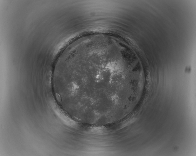 X0000113570446200910021633