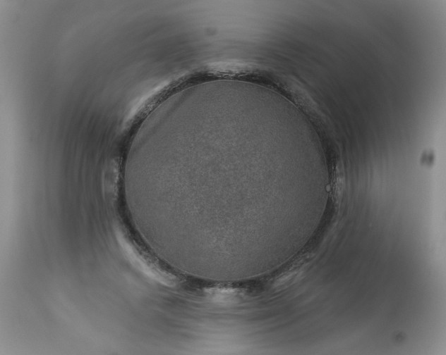 X0000113570448200910021633